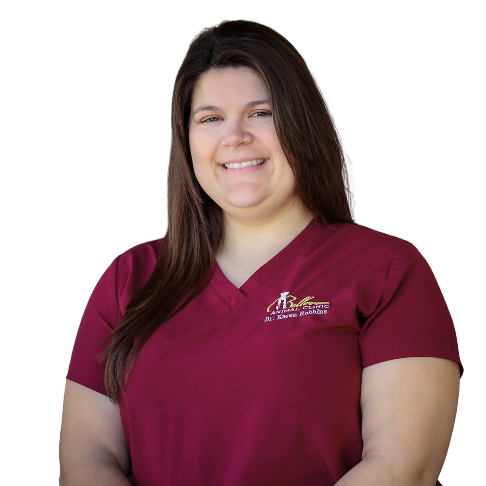 Dr. Karen Robbins